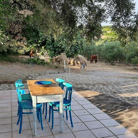 Sa Ruscitta Panzió SantʼAntìoco Kültér fotó