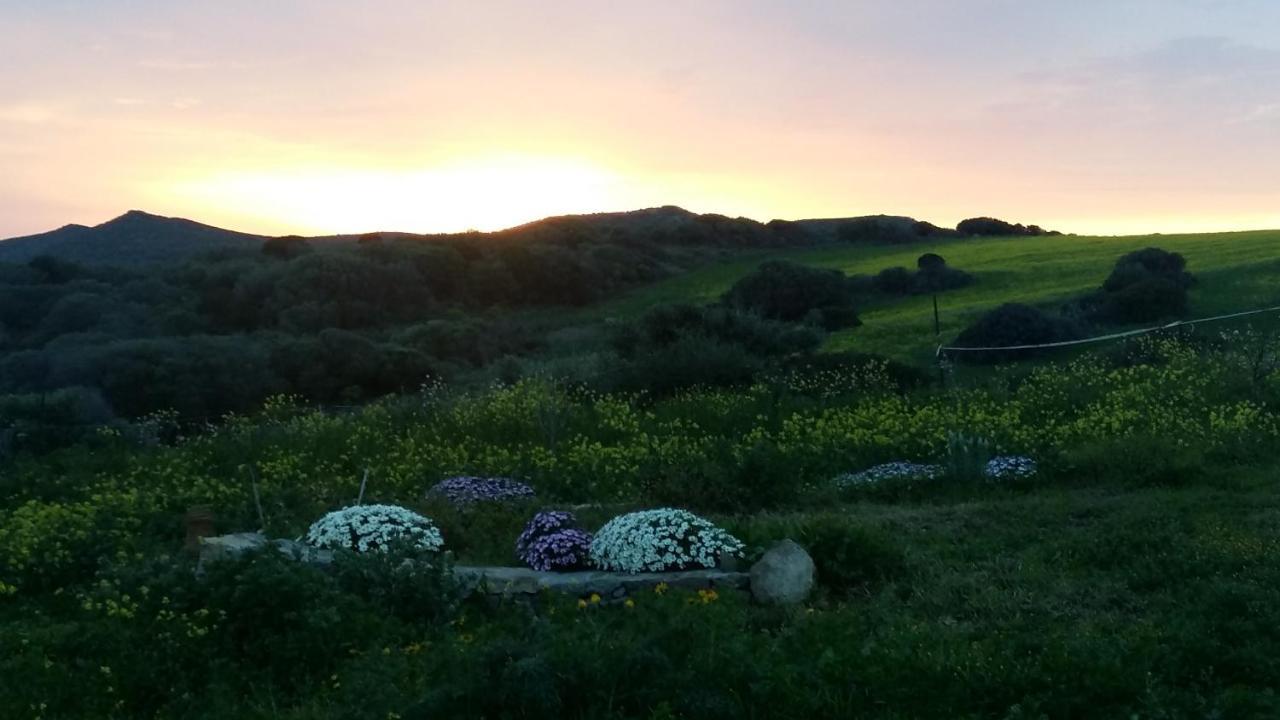 Sa Ruscitta Panzió SantʼAntìoco Kültér fotó