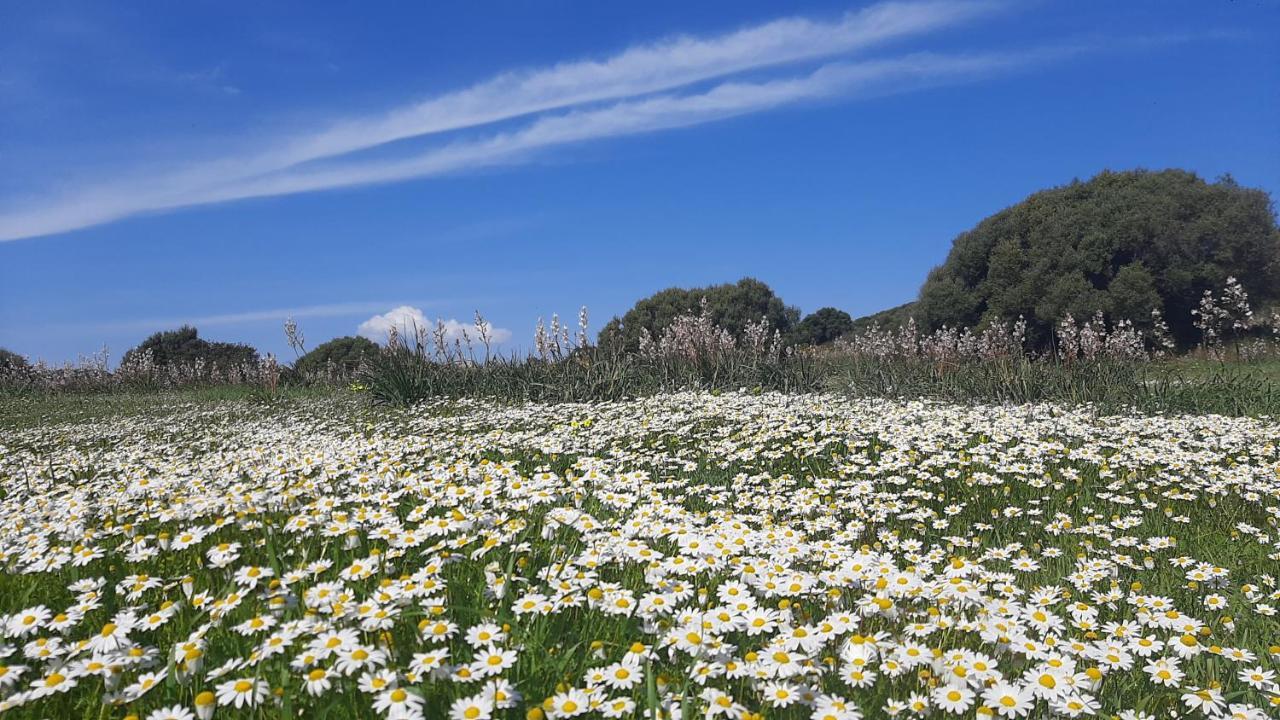 Sa Ruscitta Panzió SantʼAntìoco Kültér fotó